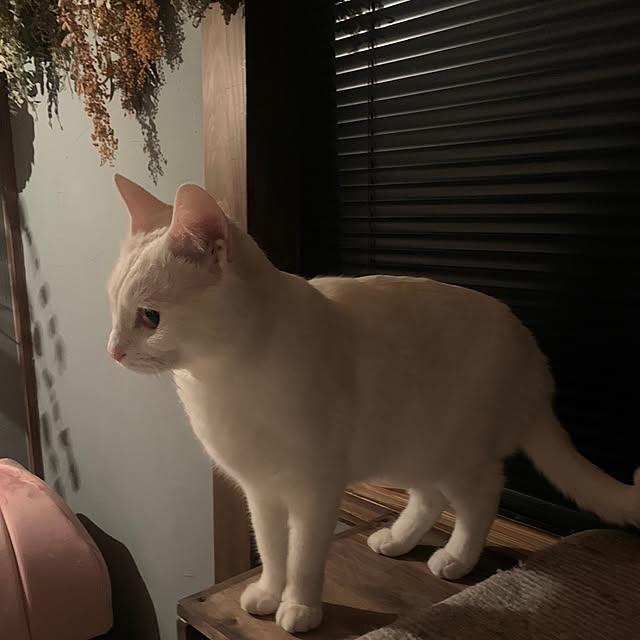 keiさんの実例写真