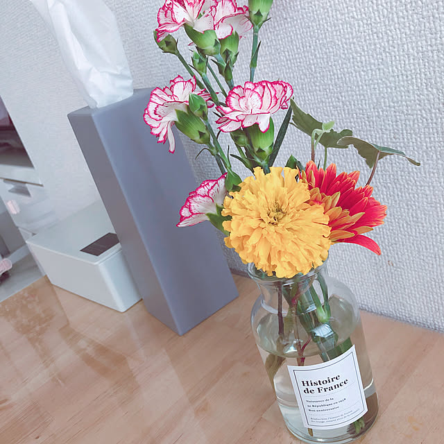 kopponさんの実例写真