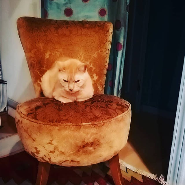 junkocteauさんの実例写真
