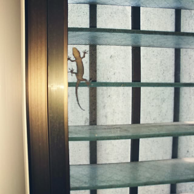 mimi828さんの実例写真