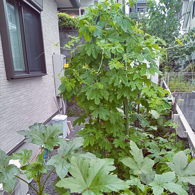 mocomocoさんの部屋