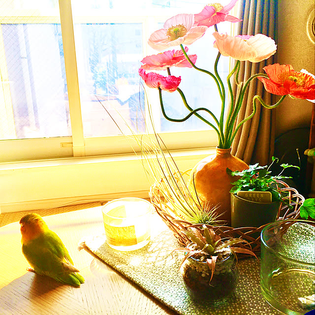 s.p.sunaoさんの実例写真