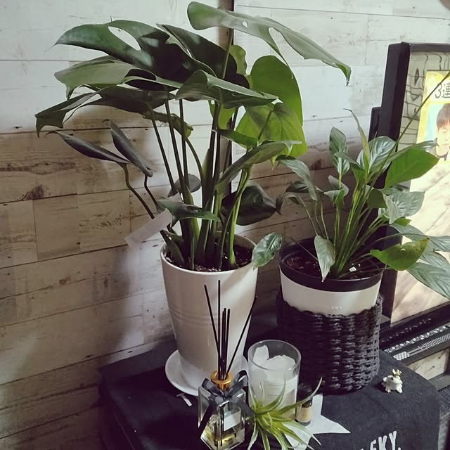 runaさんの部屋