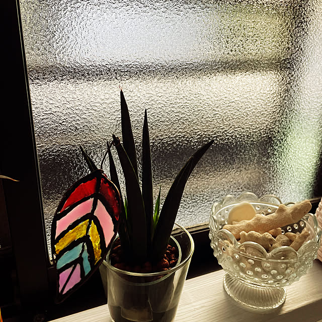 naotokahoさんの部屋
