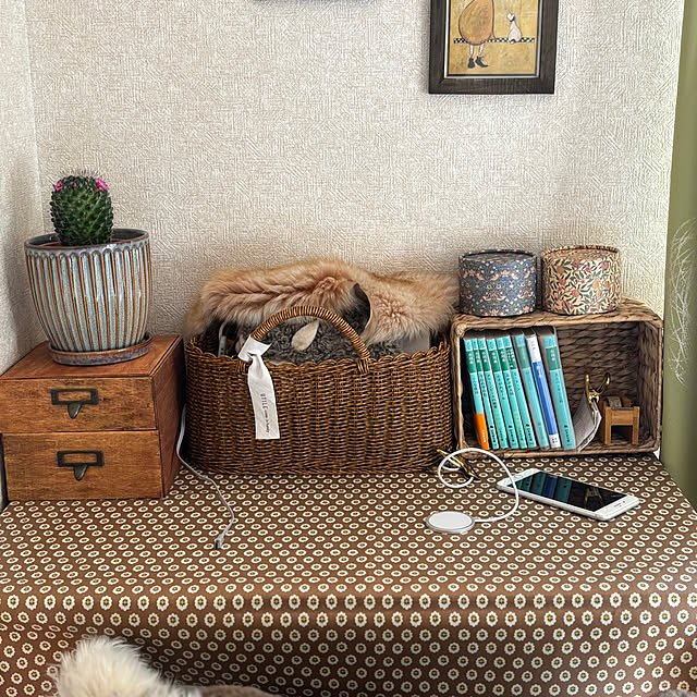 canetteさんの部屋