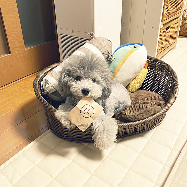 meguko.ryanさんの実例写真