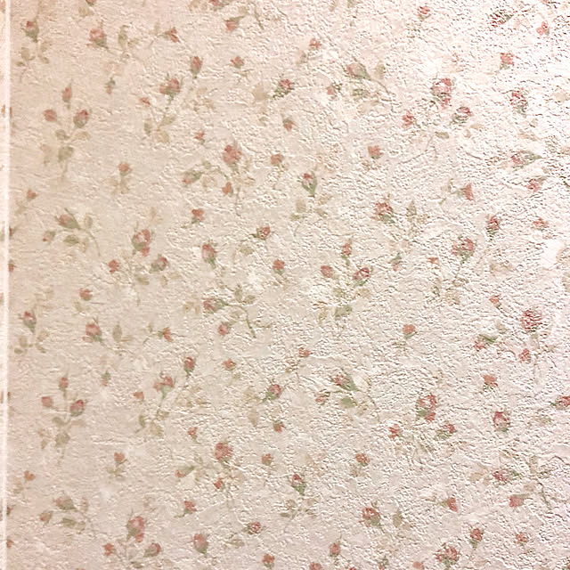 naonaoさんの実例写真