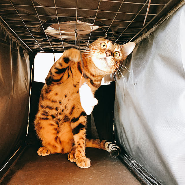 Kurehaさんの実例写真