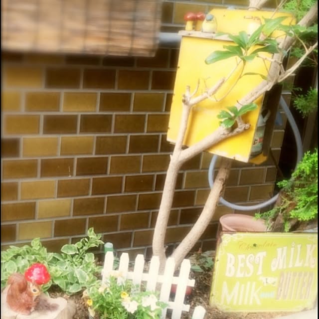 yukinkoさんの実例写真