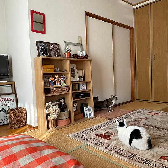 nobikoさんの部屋