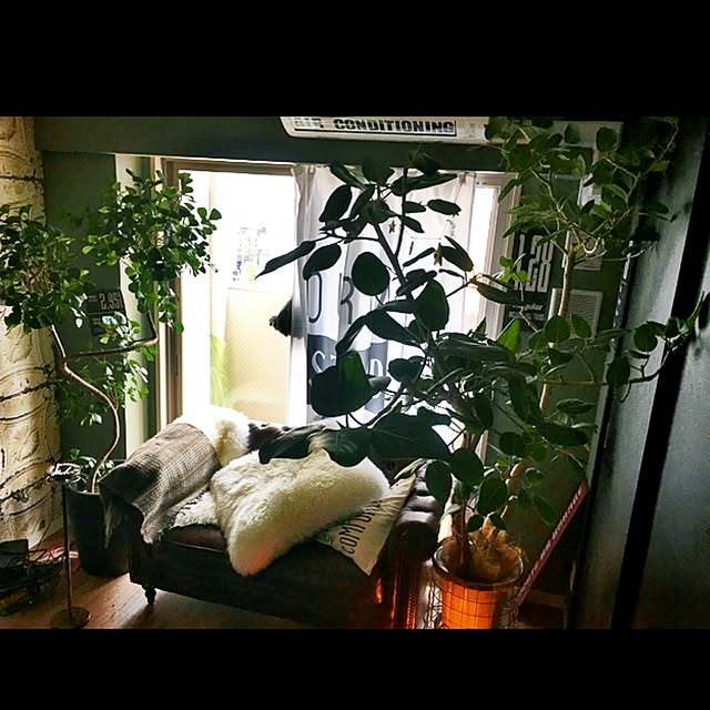 Annaさんの実例写真