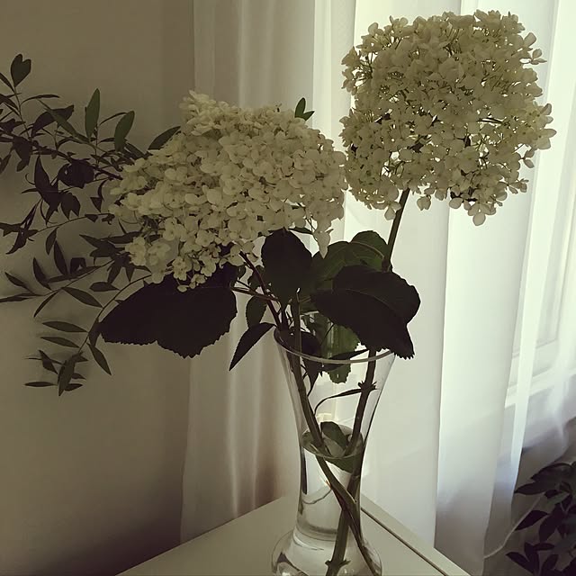 Masakoさんの実例写真
