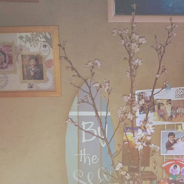 sakura_tukiyo_shさんの実例写真