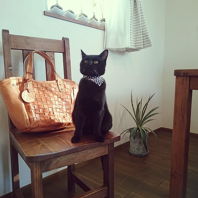 hiroさんの実例写真