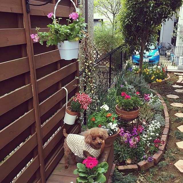 ansophy2525さんの実例写真