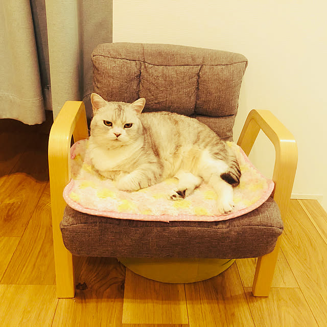 sakura_171220さんの実例写真