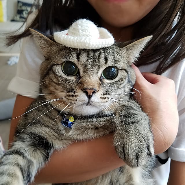 t-famさんの実例写真