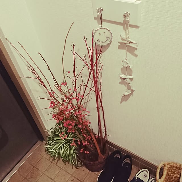 yakoさんの実例写真