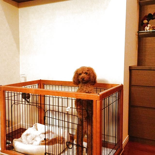 simbaさんの実例写真