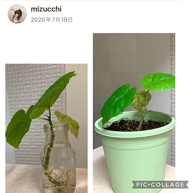 mizucchiさんの部屋