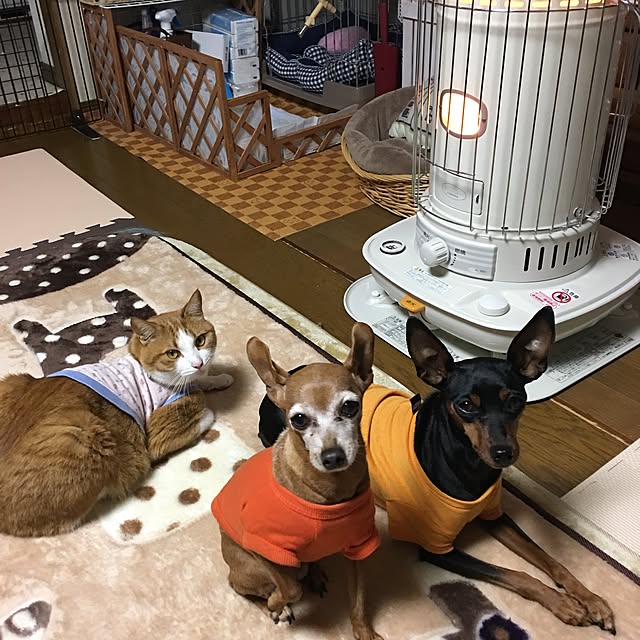 kanmiさんの実例写真