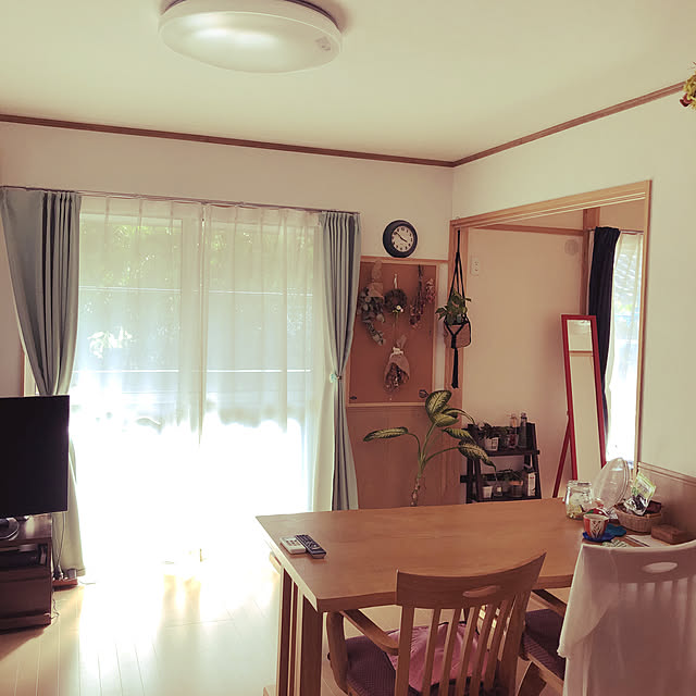 賃貸インテリア/観葉植物/雑貨/ドライフラワー/リビングのインテリア実例 - 2019-09-02 16:28:26
