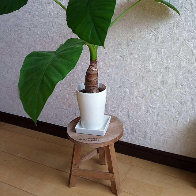 akko0908さんの実例写真