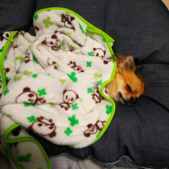 kojikojiさんの実例写真