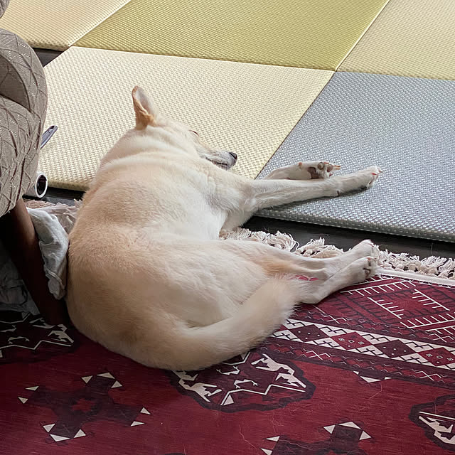 tanboさんの部屋