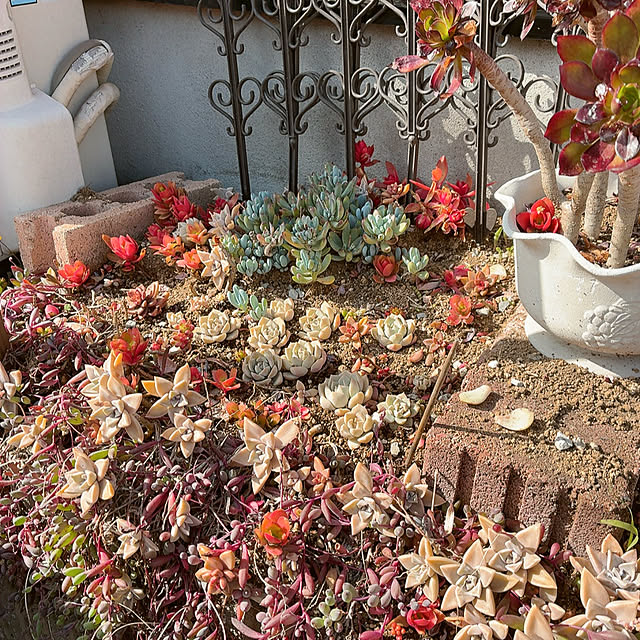 mukkuさんの部屋