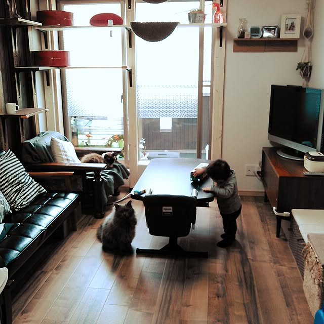 mochiさんの実例写真