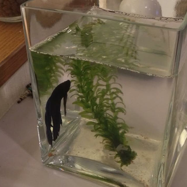 Hiroさんの実例写真