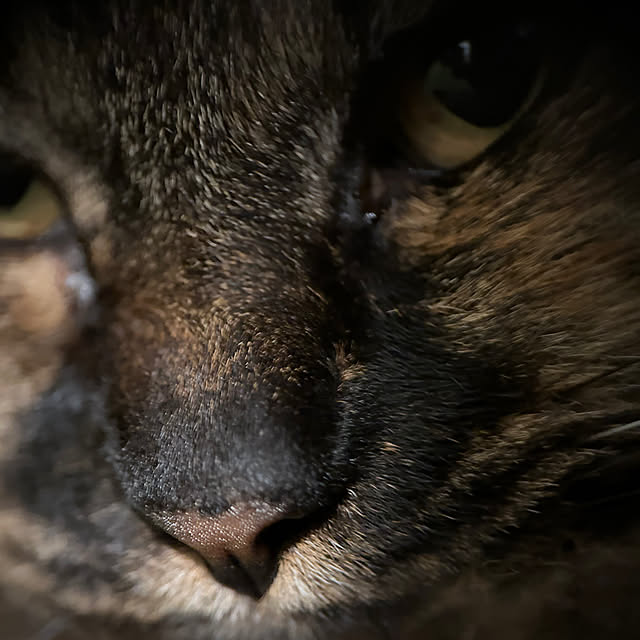 mikomaruさんの部屋