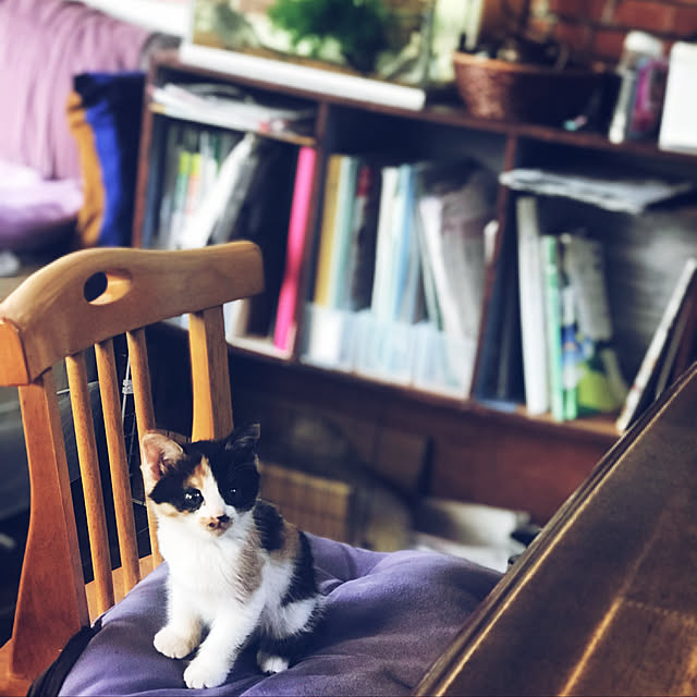 maroさんの実例写真