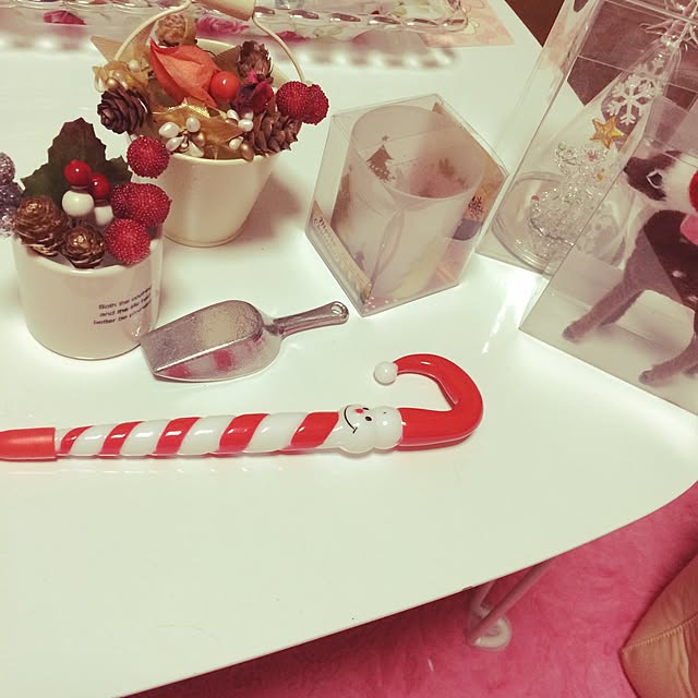 Alukuさんの実例写真
