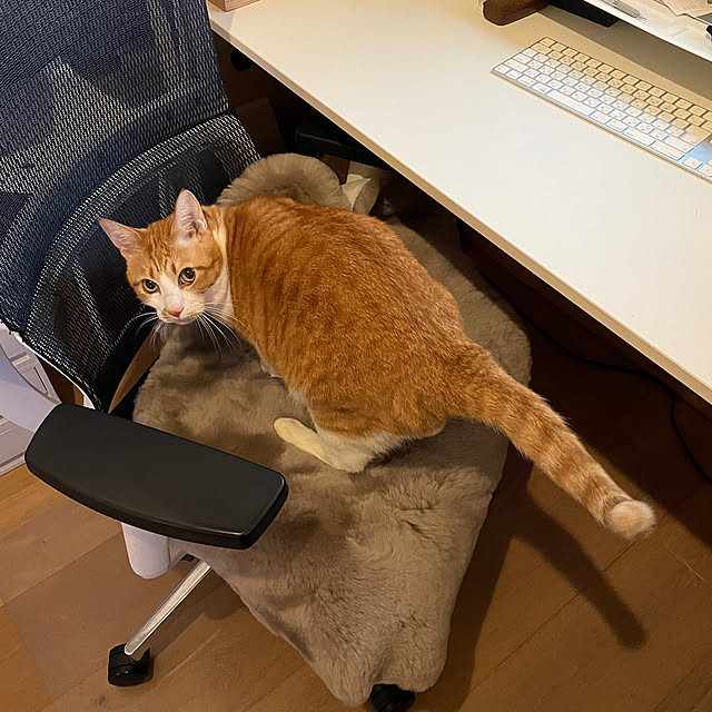 lalaさんの部屋