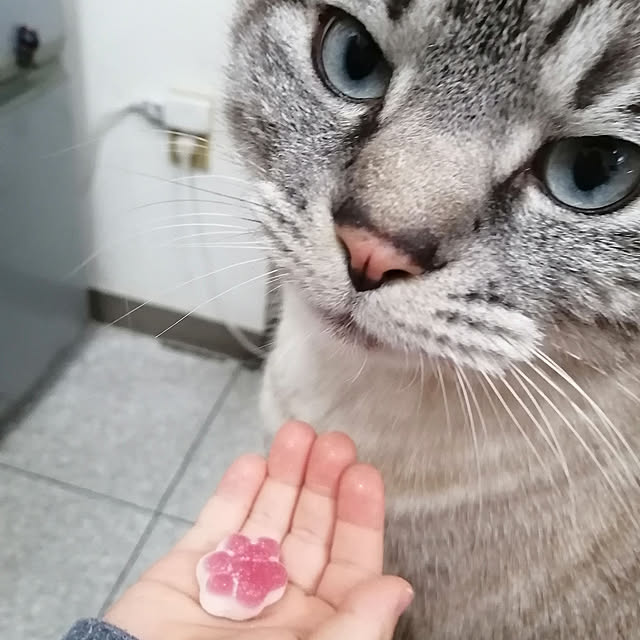 Manaさんの実例写真