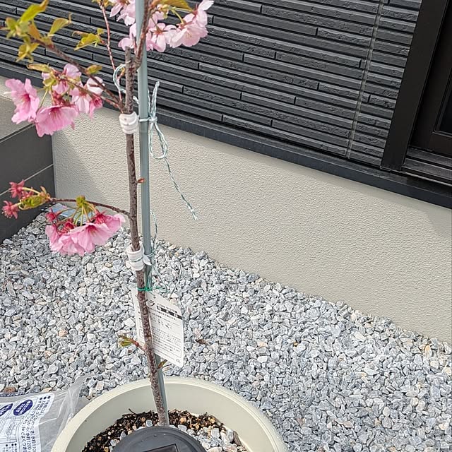 k.tさんの実例写真