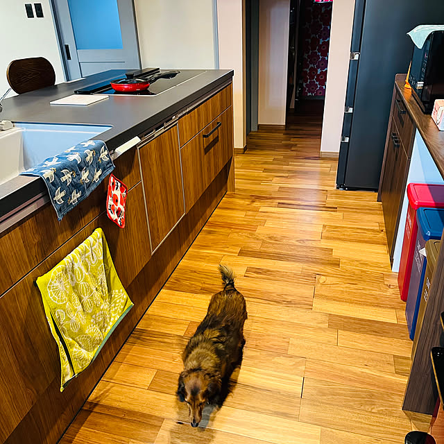 maronさんの部屋
