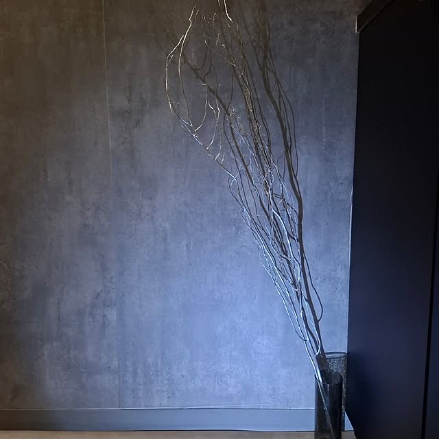 noaさんの実例写真