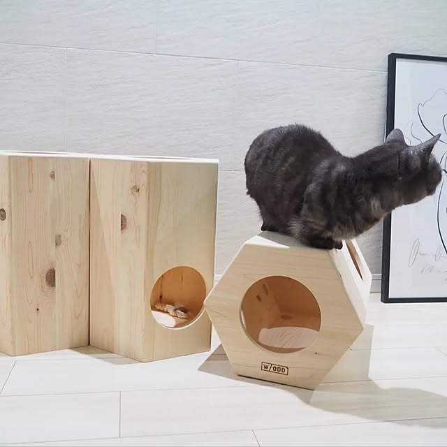 tomatoさんの部屋