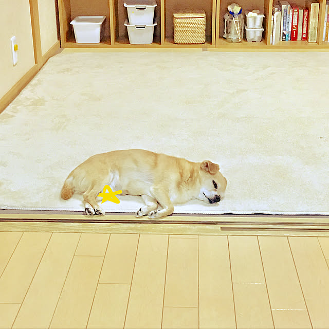 haritakaさんの実例写真
