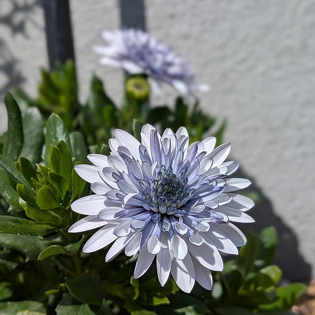 kumijiさんの部屋