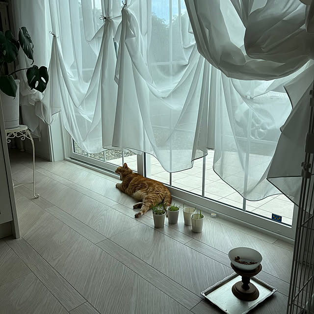 m623さんの実例写真