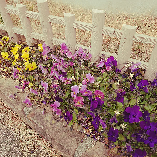 rikachakoさんの実例写真