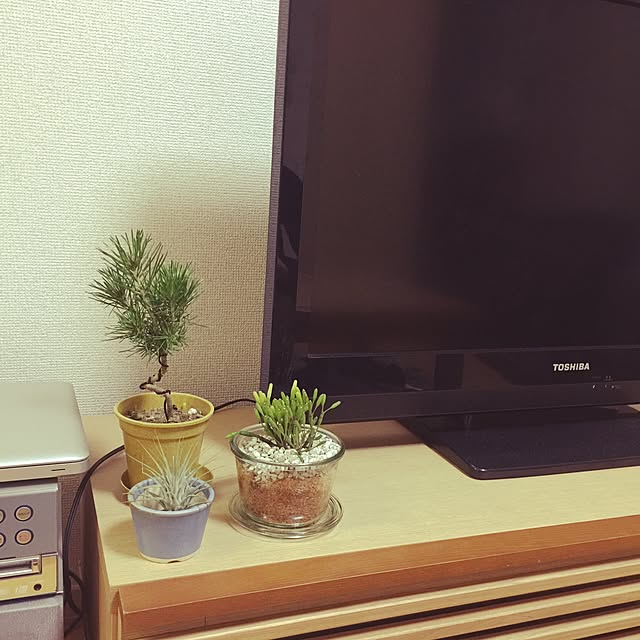 Chikaさんの実例写真