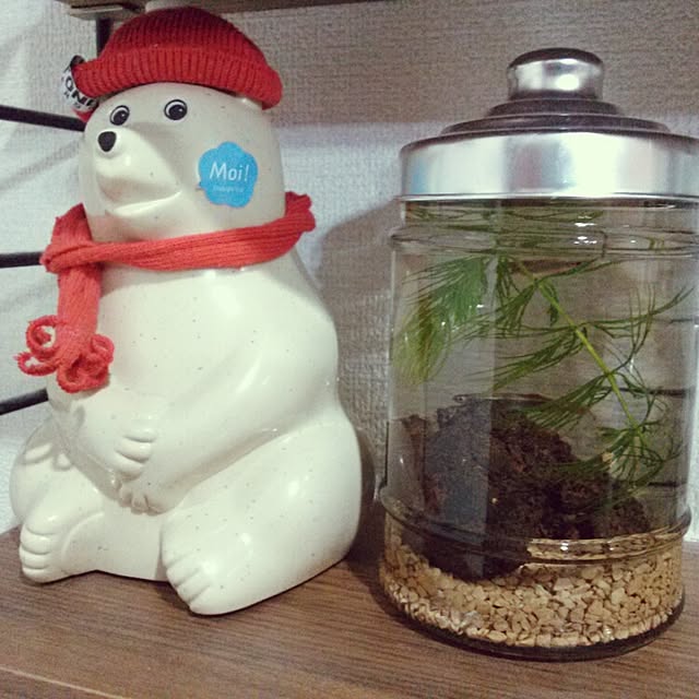 takanakoさんの実例写真