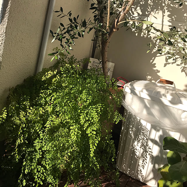 michikoさんの実例写真