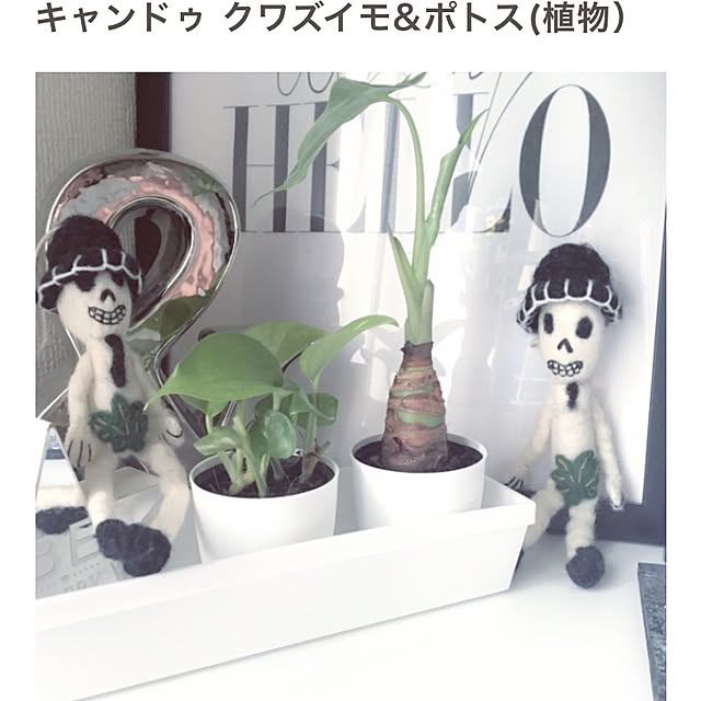 linu.a.a.aさんの実例写真