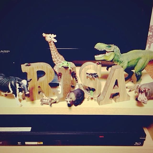 rriissaaさんの実例写真